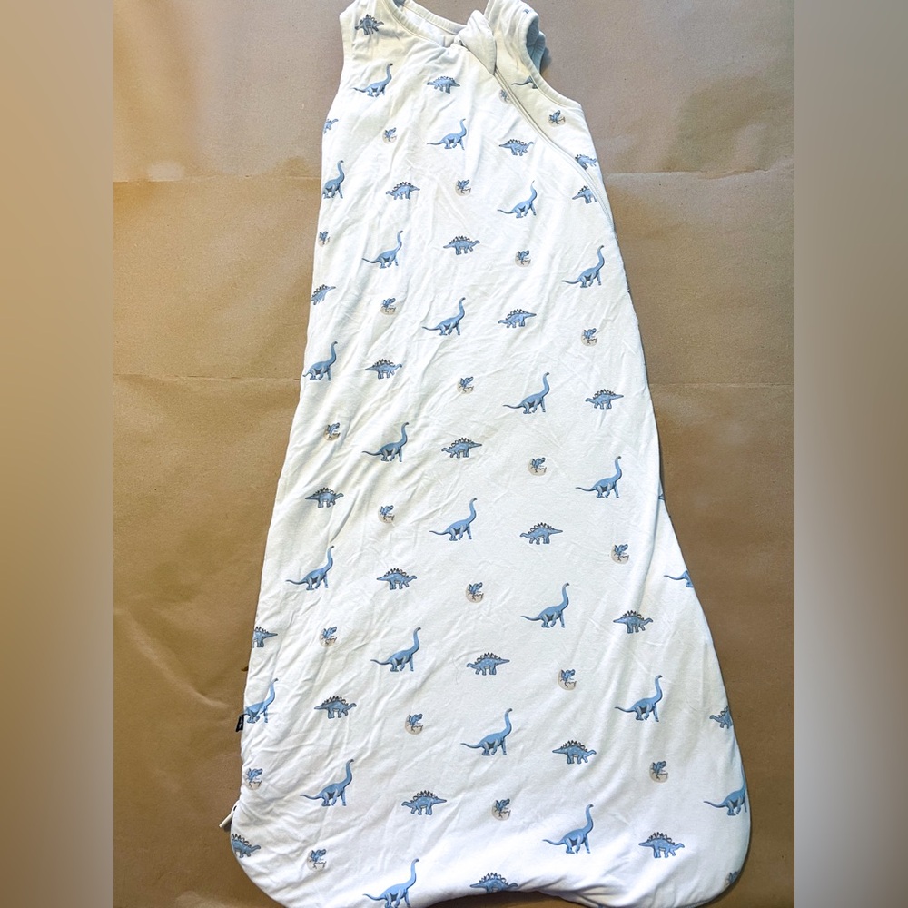 Kyte Baby Sleep Bag in Jurassic 1.0